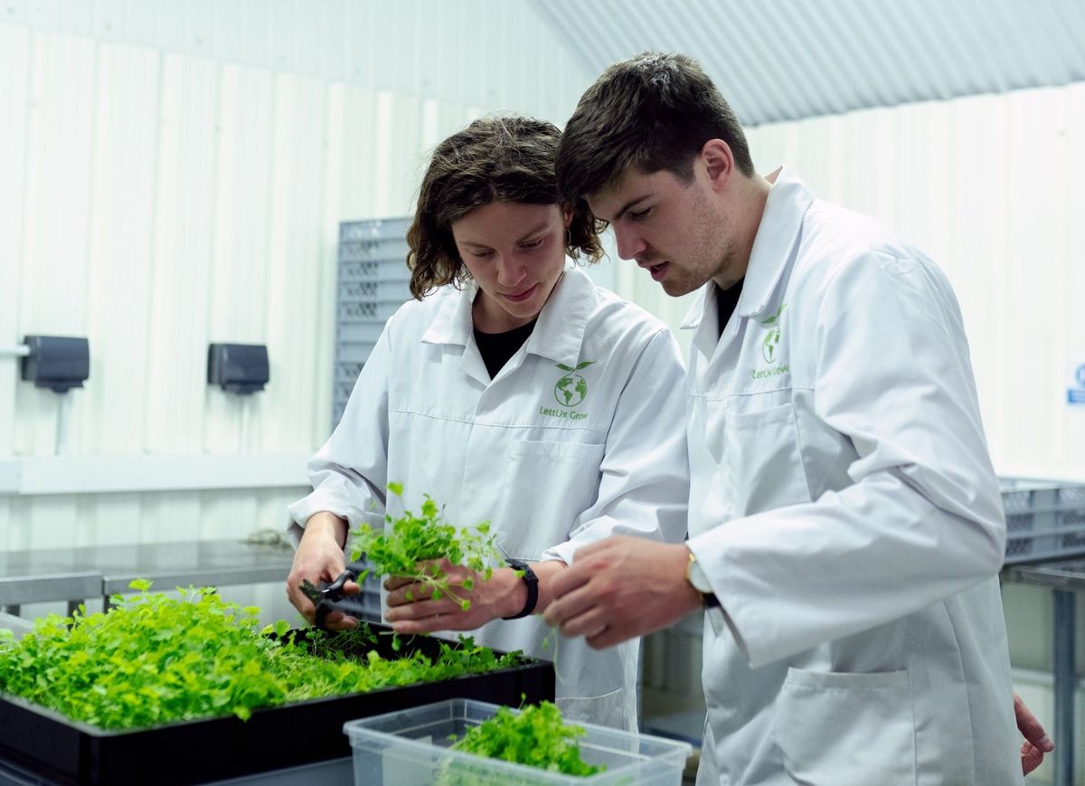 CHART: Indian Agritech Startups Experienced a 45% Funding Decline from FY22 to FY23 Post feature image