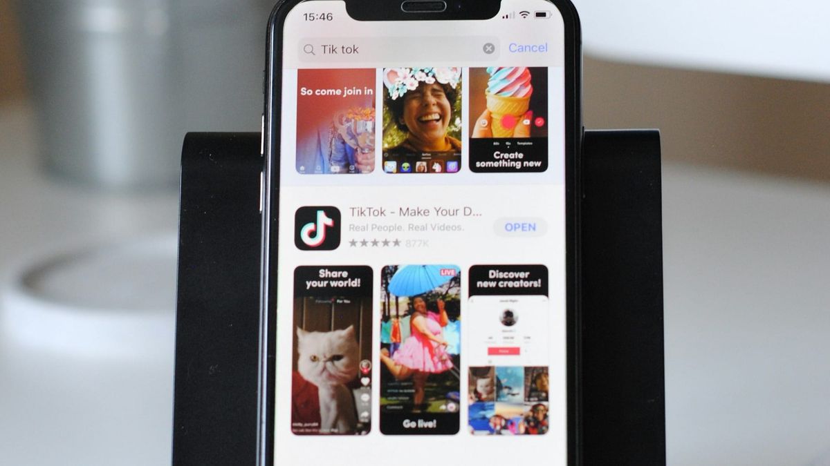 TikTok's new ad product could challenge Google's search ad dominance Post feature image