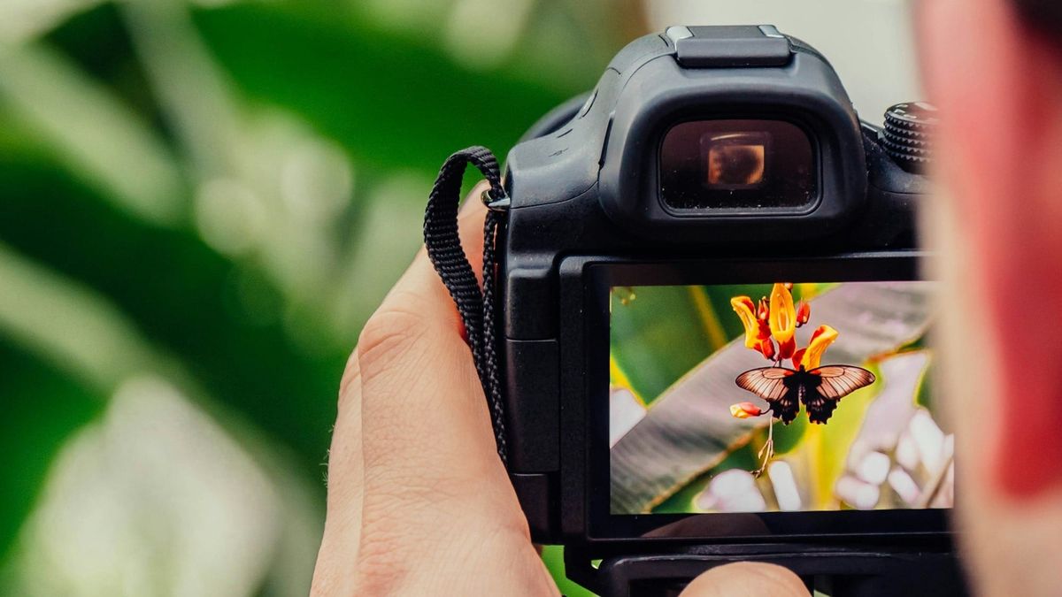 How to Enhance Photo Quality with AI: A Detailed Guide Post feature image