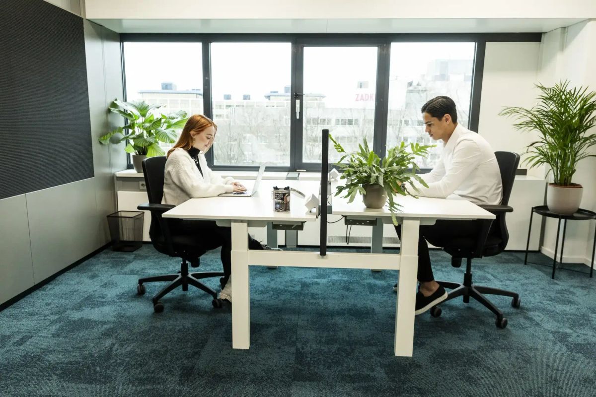 Innovative workspaces for modern professionals Post feature image