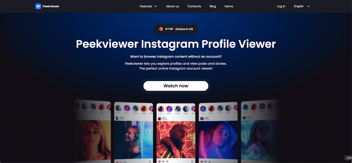 Best Instagram Private Viewer Access (Without Login) Post feature image