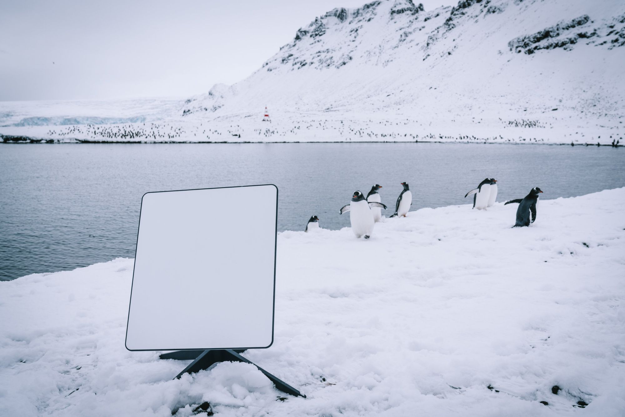 Starlink rolls out a $200 per month global roaming satellite internet package Post image