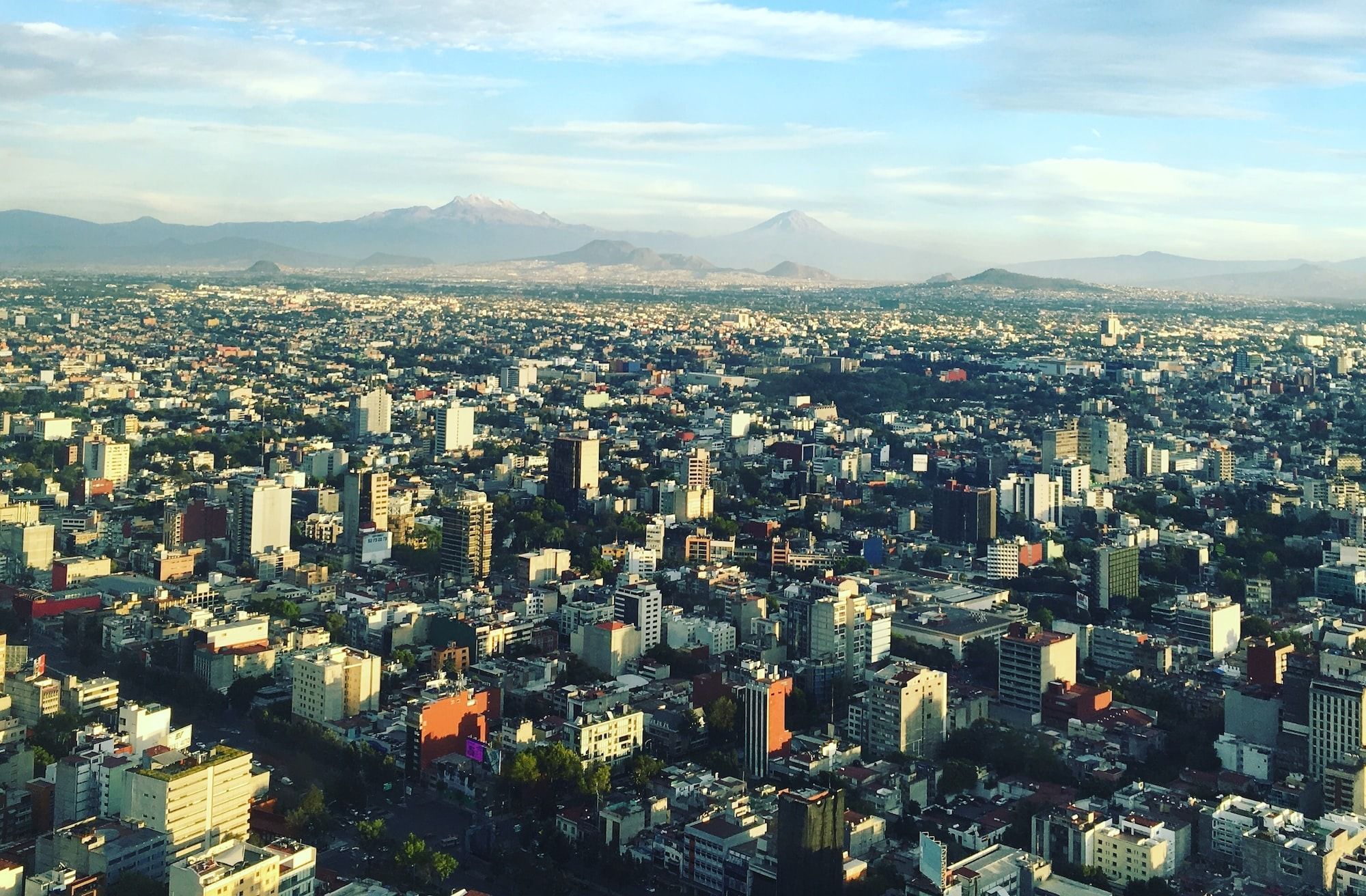Mexico's Albo buys Delt.ai for $20M in a strategic acquisition Post image
