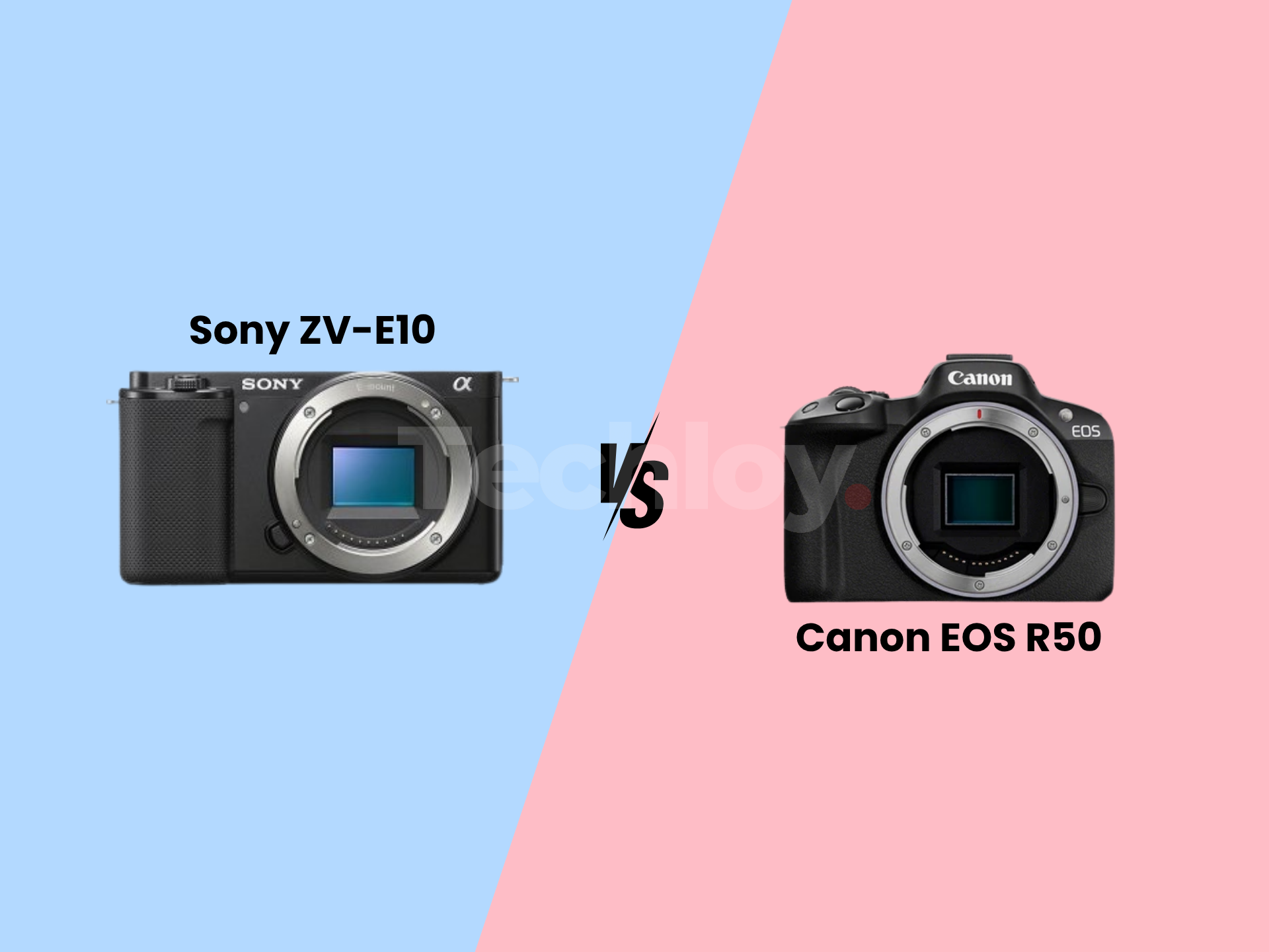 Sony ZV-E10 vs. Canon EOS R50: Which Camera Is Great for Content Creators? Post image