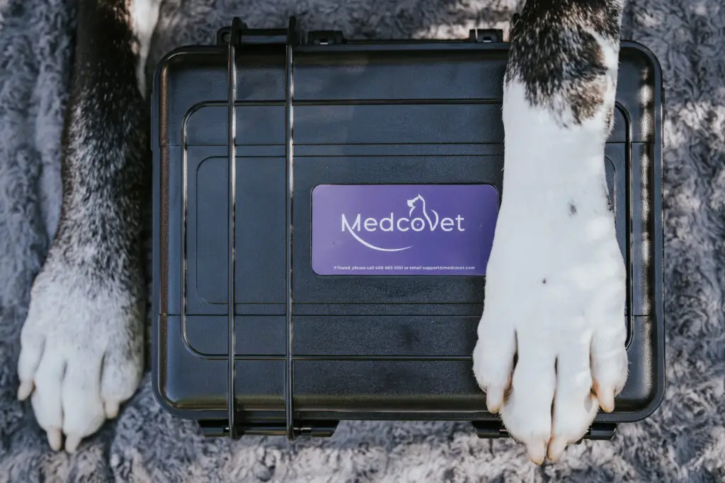How MedcoVet Is Changing the Veterinary Technology Landscape Post image