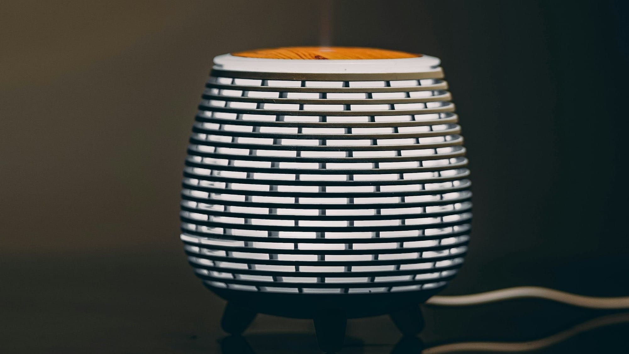 Why Families Prefer Using an Air Humidifier Post image