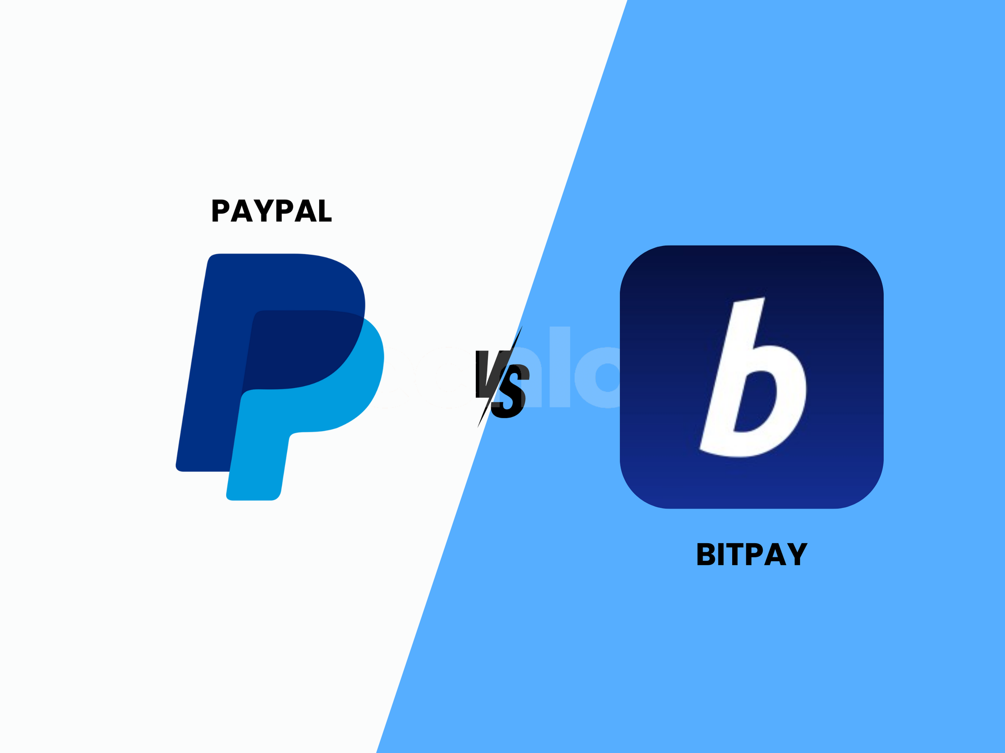 PayPal Vs BitPay: Which Payment Platform Is Better for You? Post image