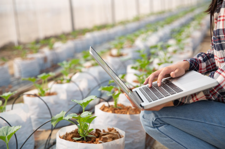 Best Agriculture Software Teams for Cooperatives and Large Farms Post image