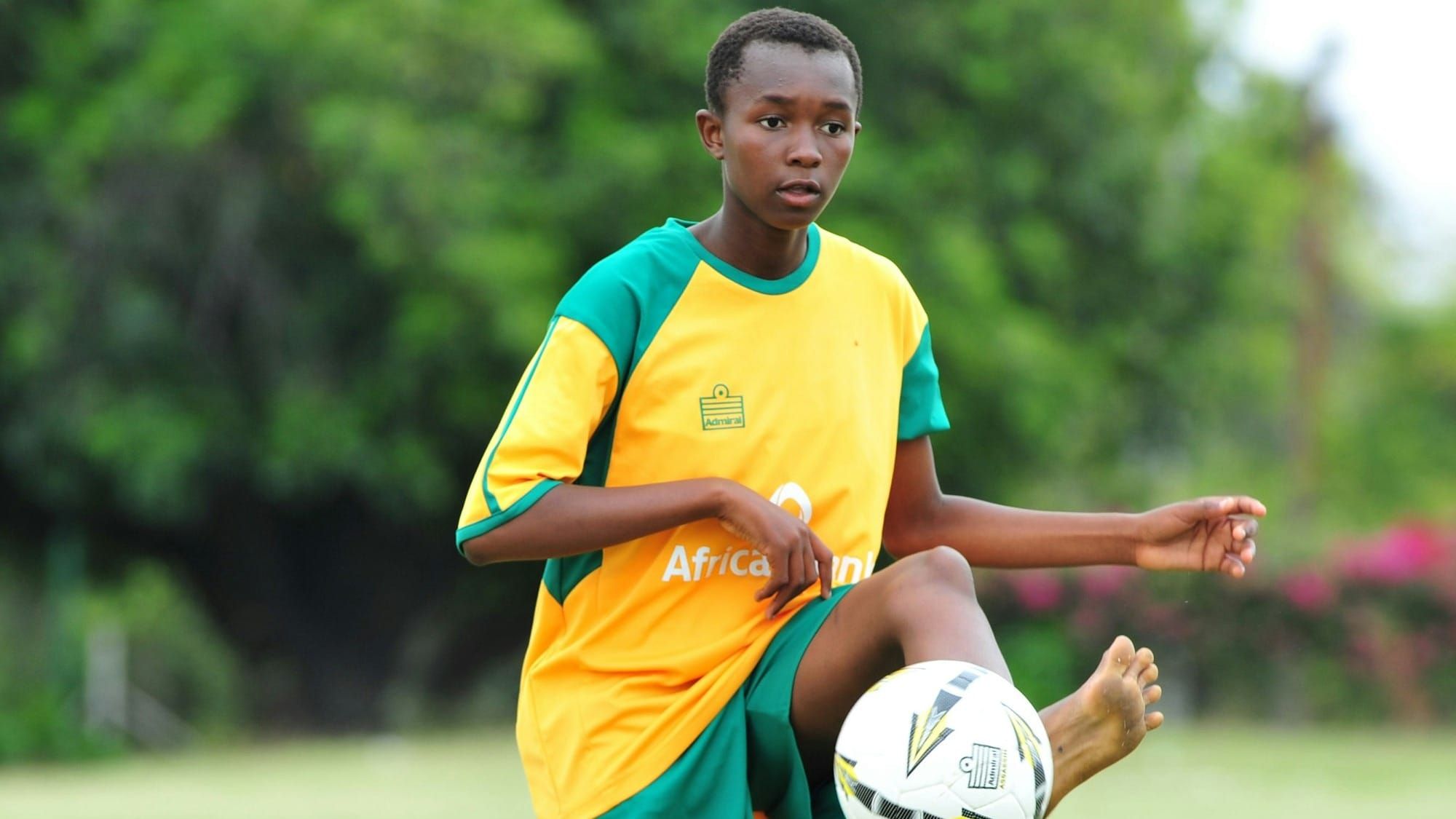 African Football Leagues: The Rise of Domestic Competitions Post feature image