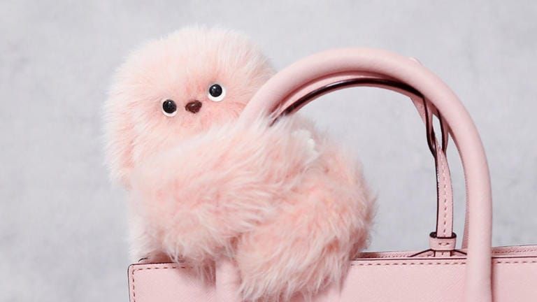 The most intriguing tech products from CES 2025 — even for our furry friends Post feature image