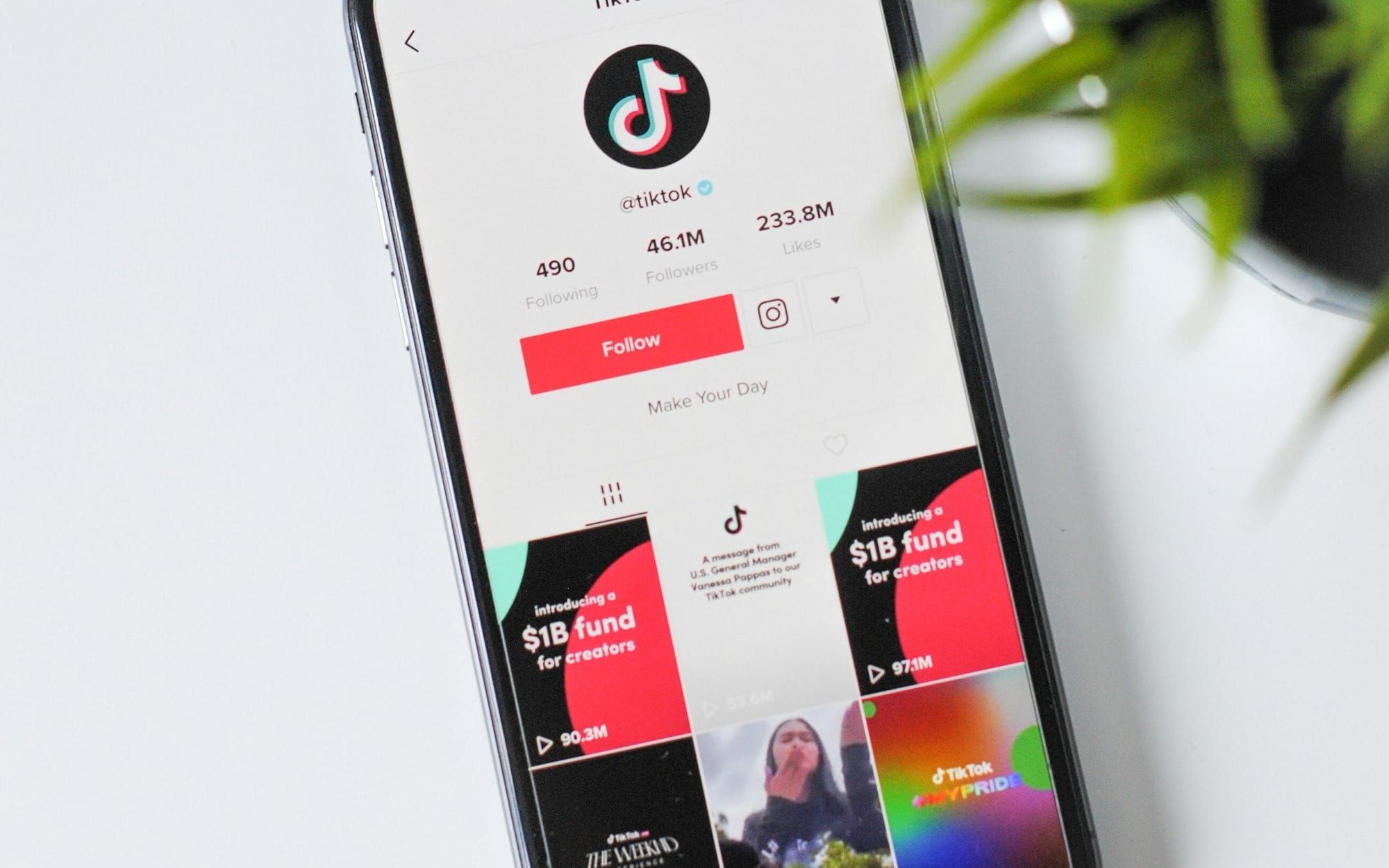 Egypt pushes for TikTok content to align with local values and morals Post feature image