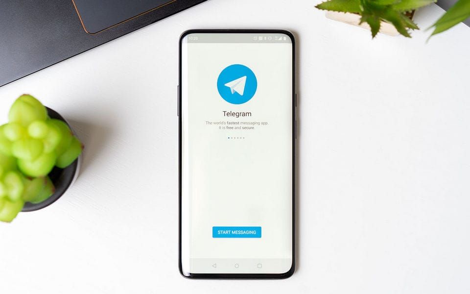 A smartphone displaying the Telegram app welcome screen with a "Start Messaging" button, placed on a white surface next to a small green plant.