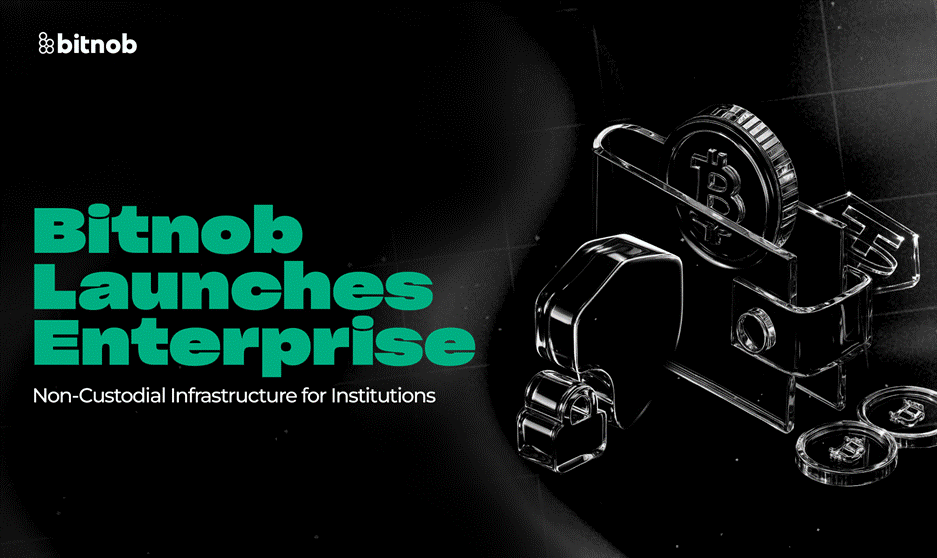 Bitnob Launches Enterprise: Non-Custodial Infrastructure for Institutions Post feature image