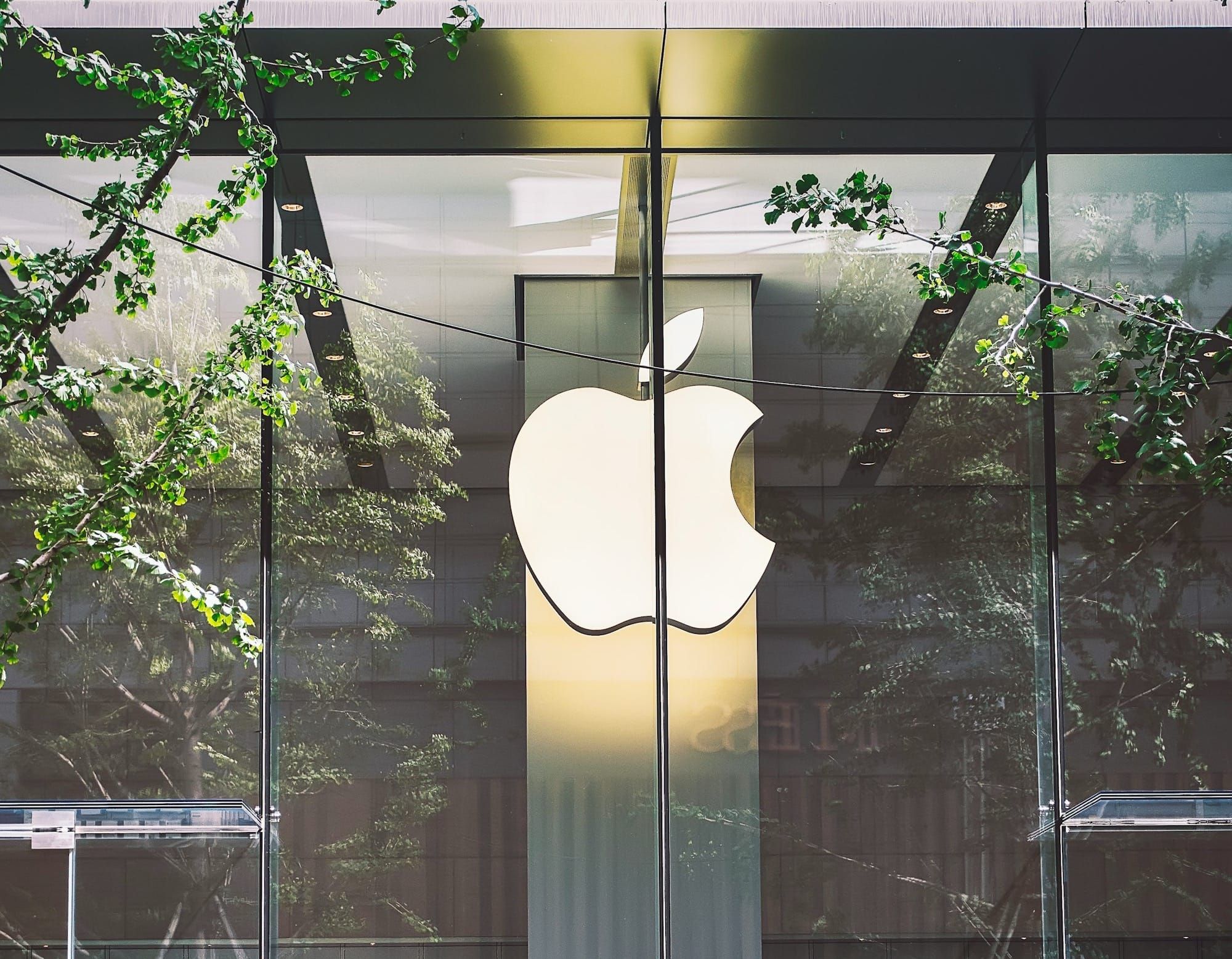 CHART: Apple posts record revenue in Q3 FY24 despite iPhone sales decline Post image