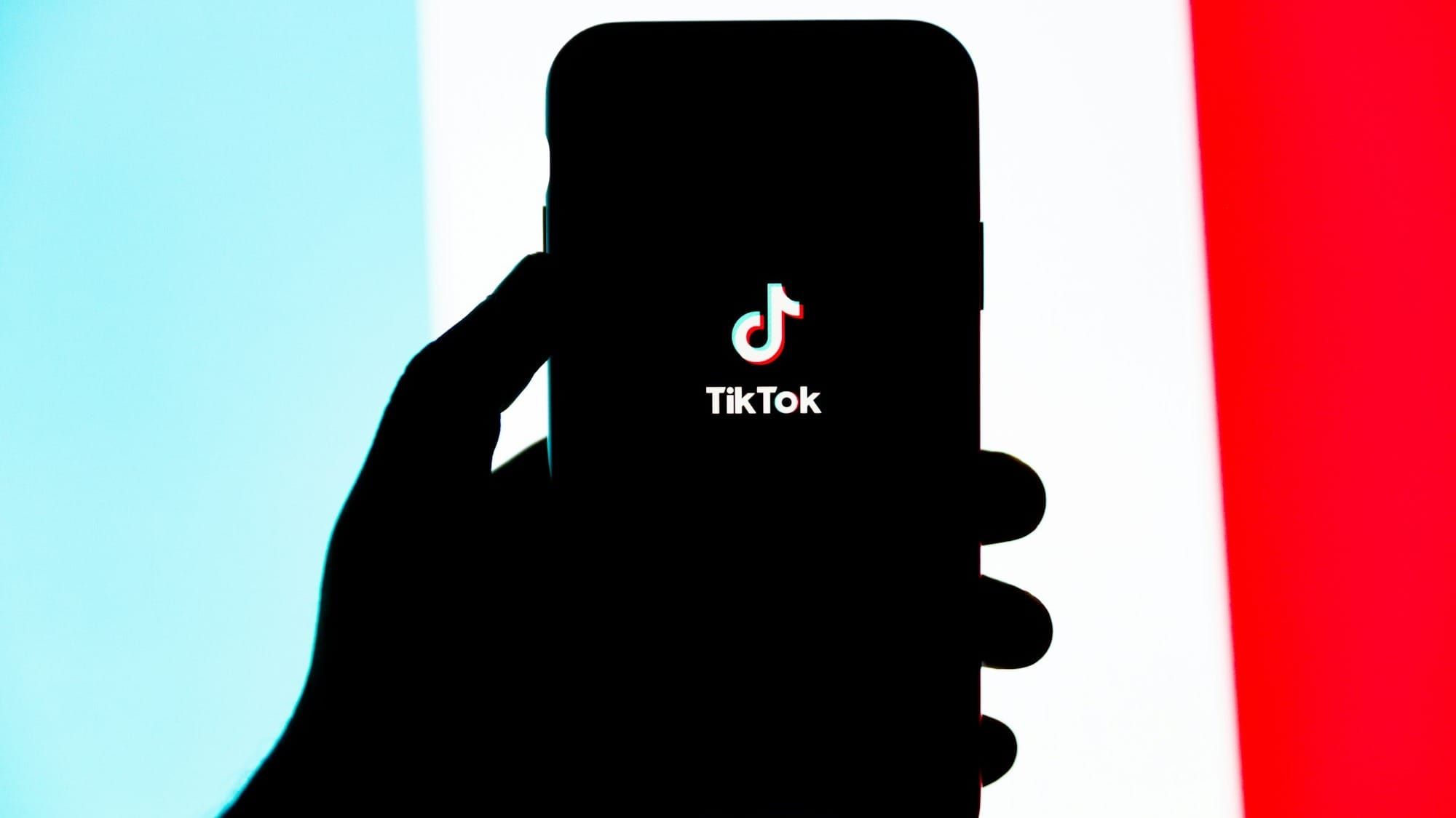 Will TikTok’s U.S. operations be sold to Elon Musk? Post image