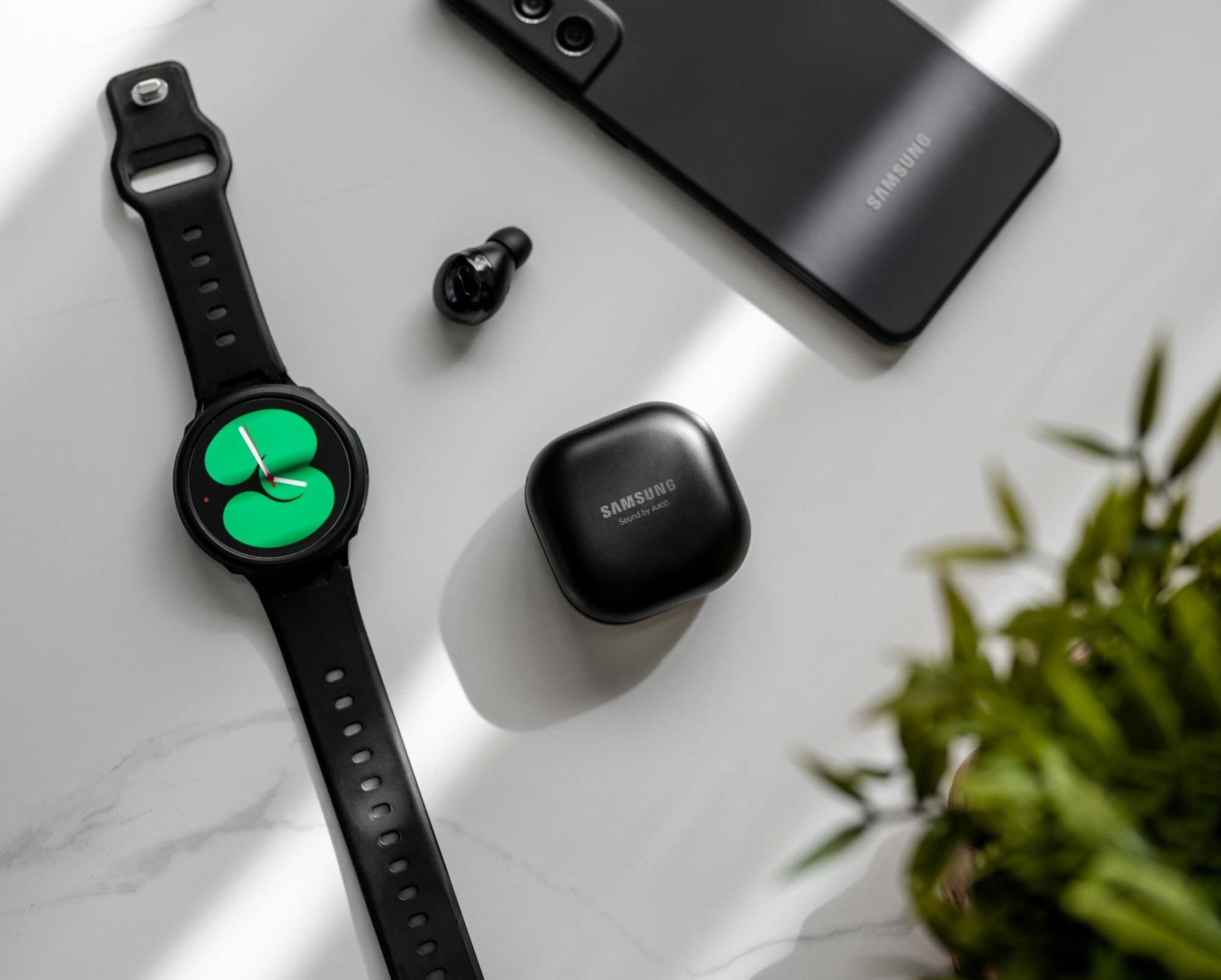 CHART: India’s Wearable Market Shrank for the First Time in 2024 Post image