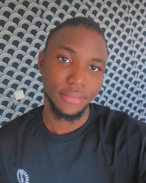 Oluwaseun Bamisile Profile image