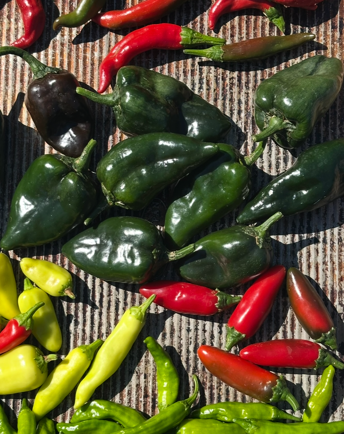 The Ultimate Roasted Veg Guide