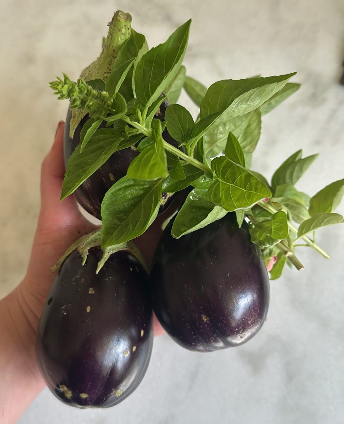The Best Roasted Eggplant