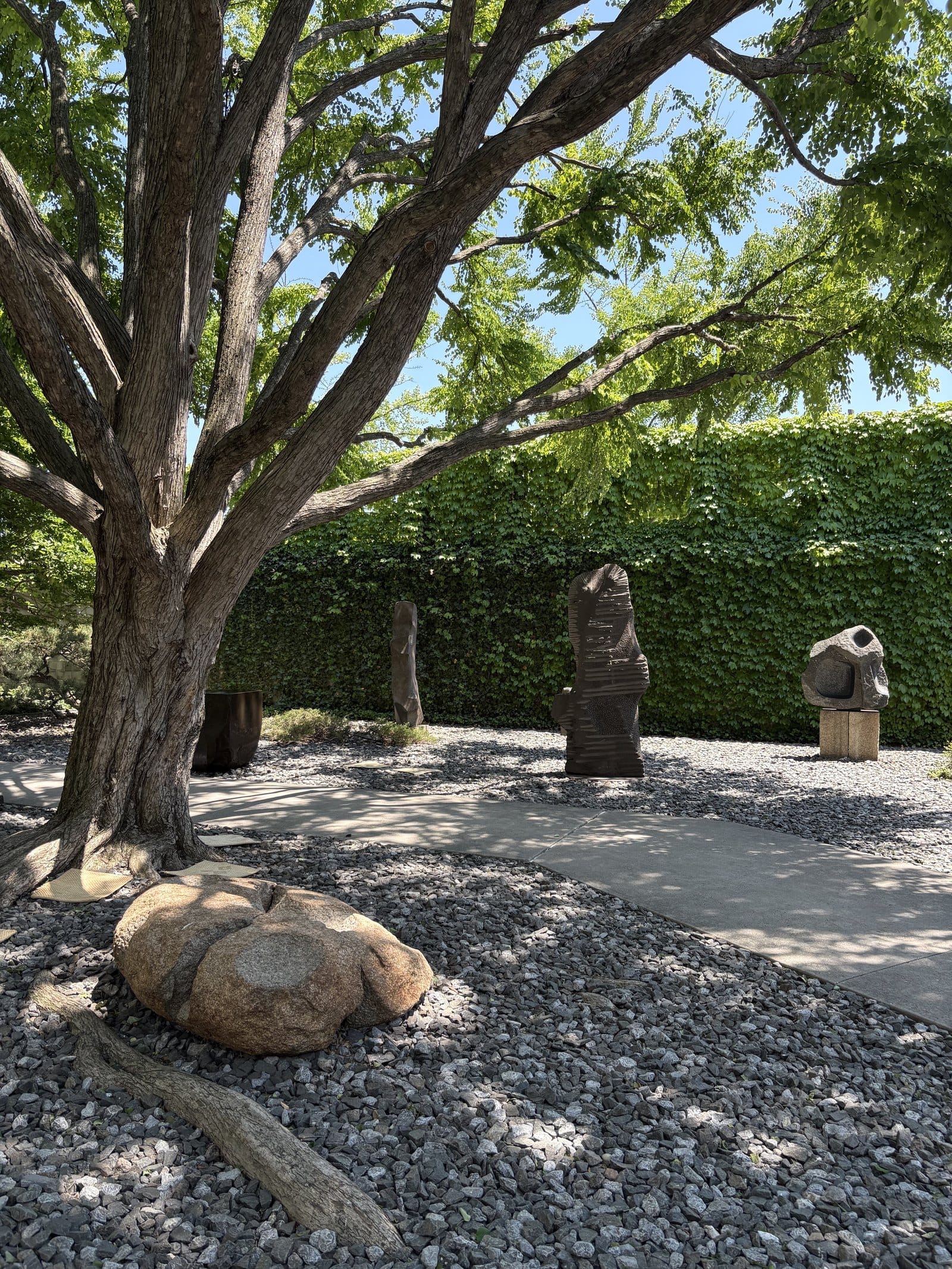 Garten mit grauem Kies unter einem grossen Baum. Vorne ein gerundeter Stein, am Stamm liegen zwei, drei helle quadratische Matten. Dahinter ein Betonweg und dunkle Steinskulpturen vor einer Wand aus Efeu.