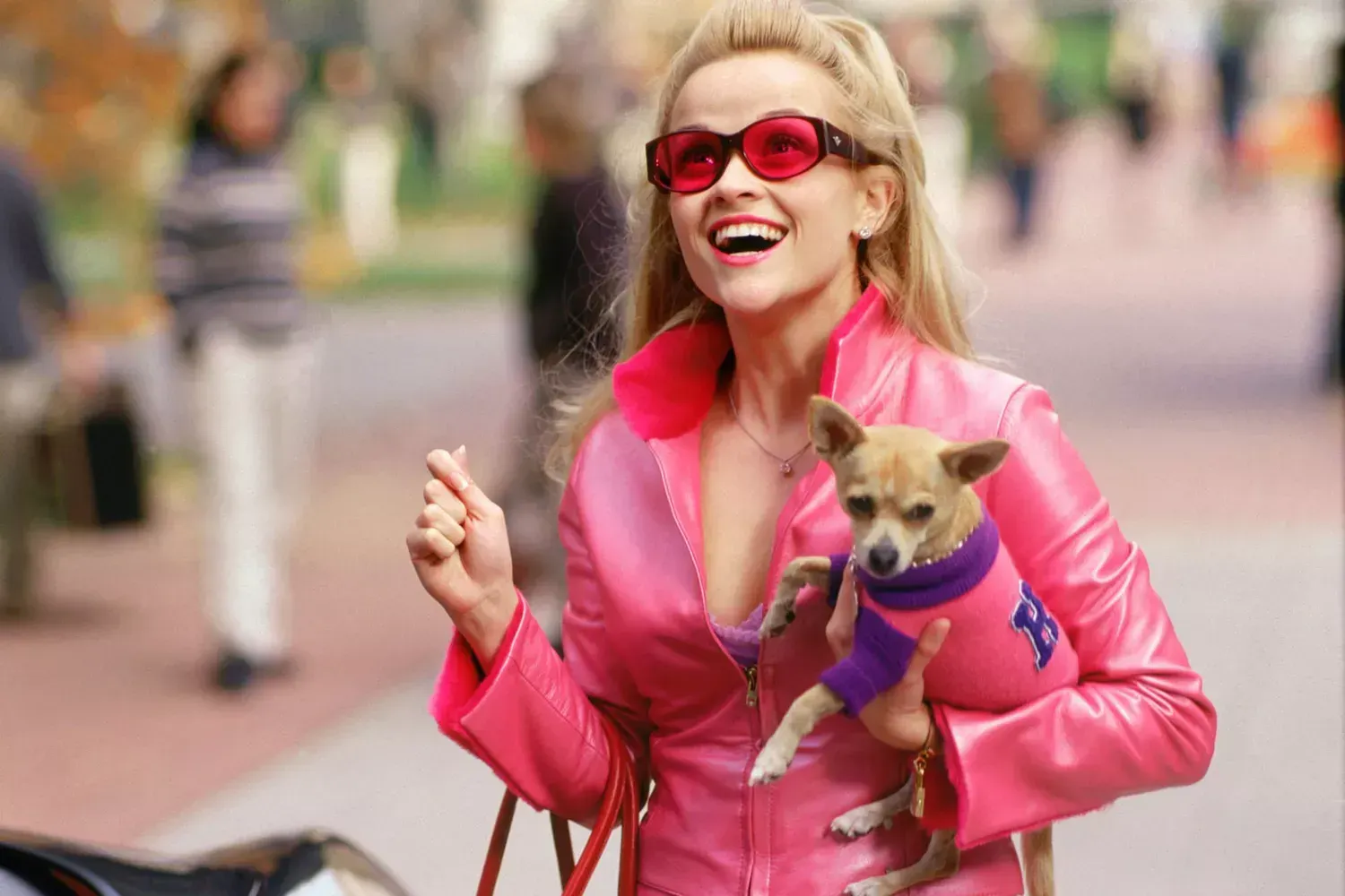 a still shot of Reese Witherspoon, a white woman with blonde hair, as the character Elle Woods in Legally Blonde. She is holding a chihuahua in a sweater.