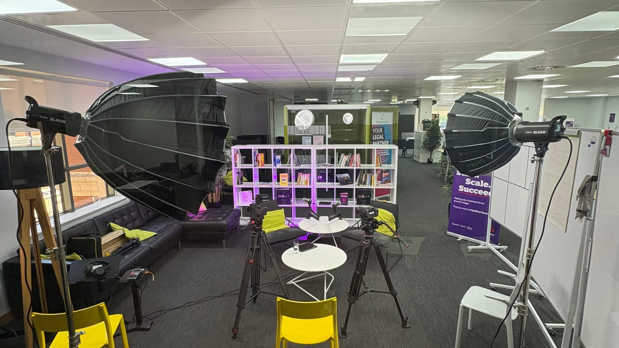 Godox SL60Ws, each with an Aputure Light Dome.