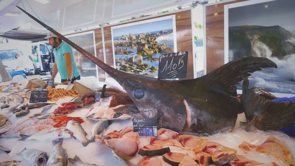 Swordfish or small fry! Which customer are you fishing for?