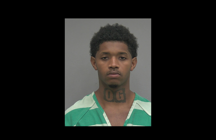 Newberry Man with Several Prior Convictions Including Voyeurism Charged with Firearm Theft