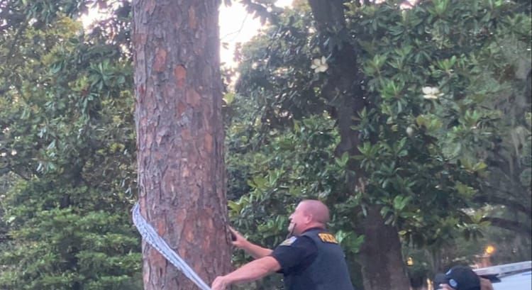 Pro-Palestinian Protesters Confronted by Over a Dozen University of Florida Police Officers