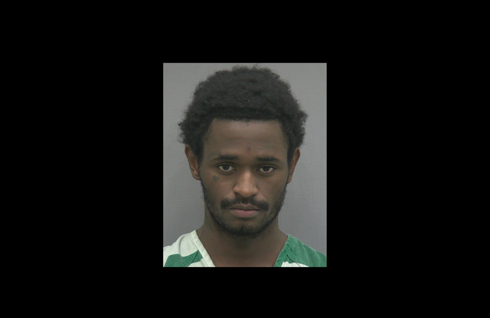 Bronson Man Sentenced to 18 Months in Prison for Battery