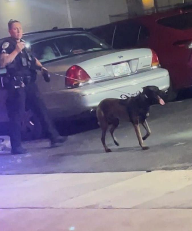 GPD Swarms Downtown After Shots Fired