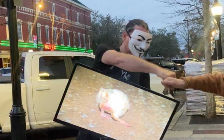 Anonymous for the Voiceless Campaigns for Animal Rights Downtown