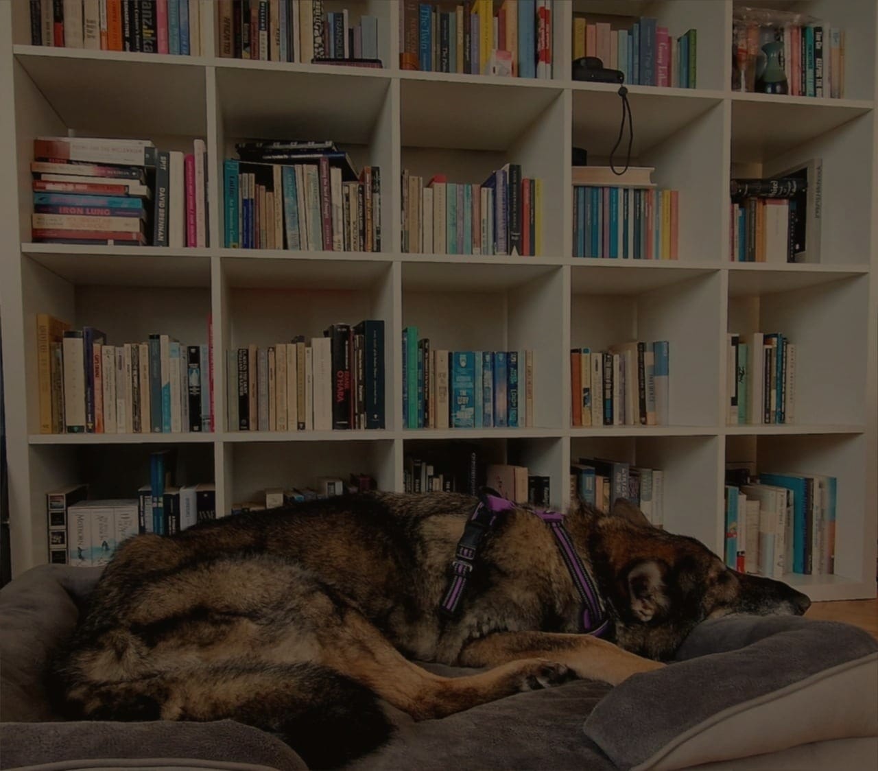 Adrian Astur Alvarez