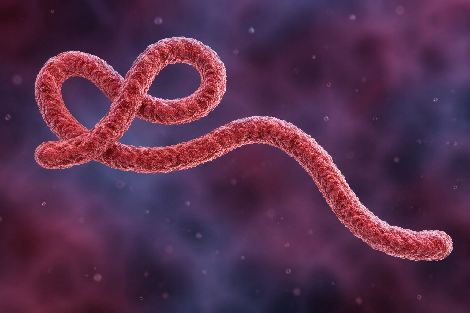 BBC: Minst 131 døde i ebola-utbrudd i Kongo