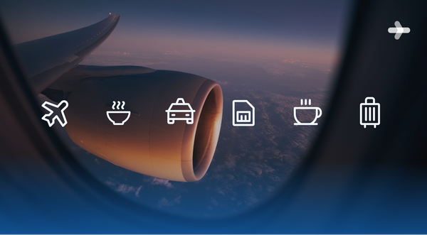 Business Travel Expense