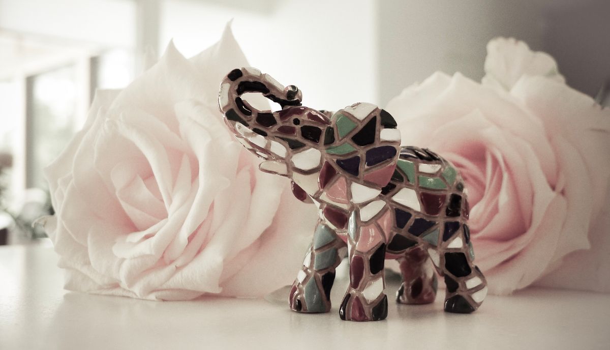 The elephant in the room ...