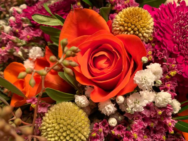 ‘I should have bought you flowers …’