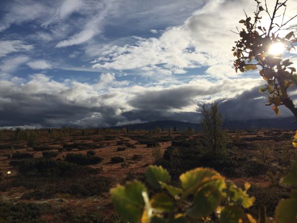 Magisk møkkavær ...