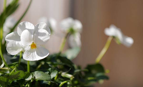 Let spring do her thing ...