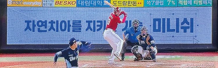 野球場に現れたミニッシュ