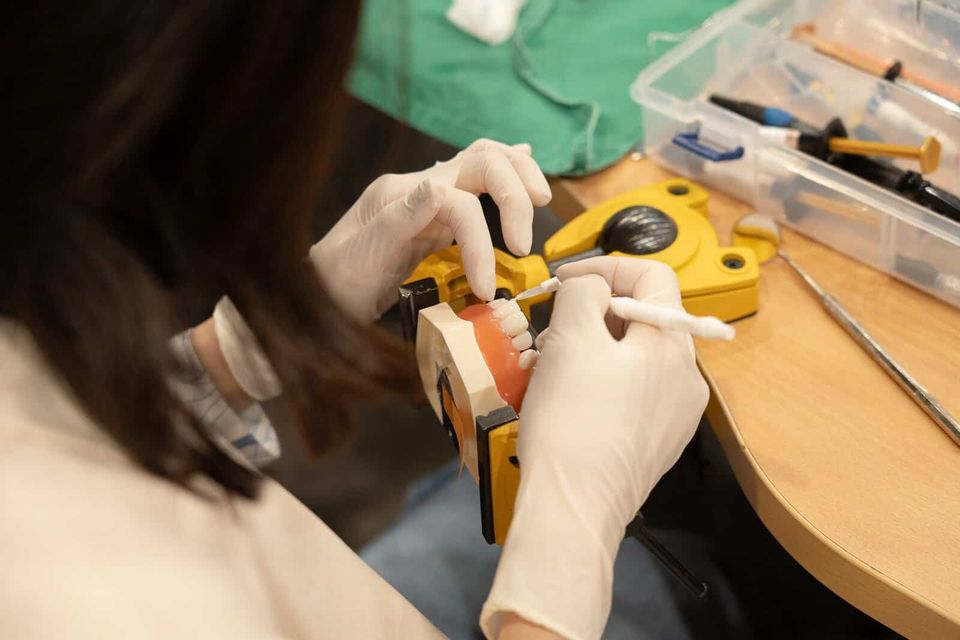 Photos from Day 3 of the 11th Minish Academy