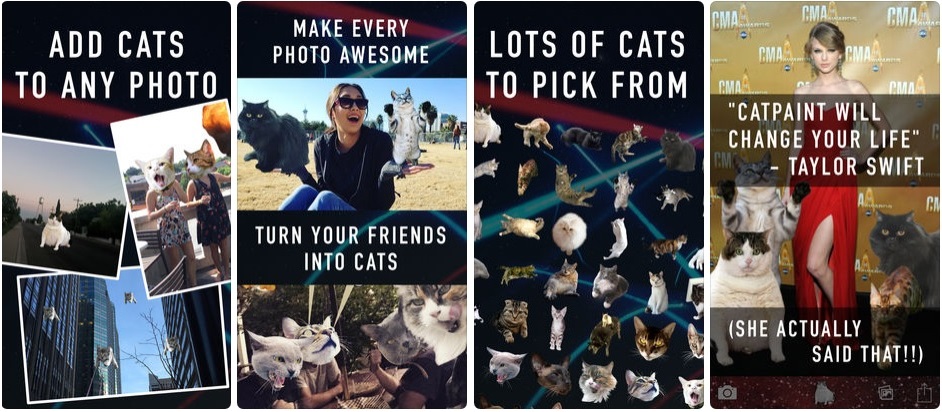 Catpaint