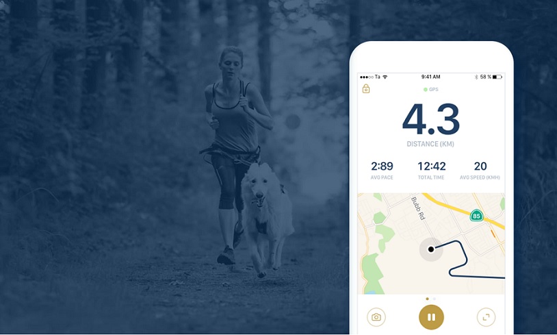 rundogo