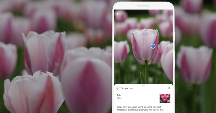 google-lens