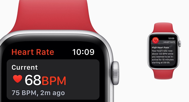 heart-rate