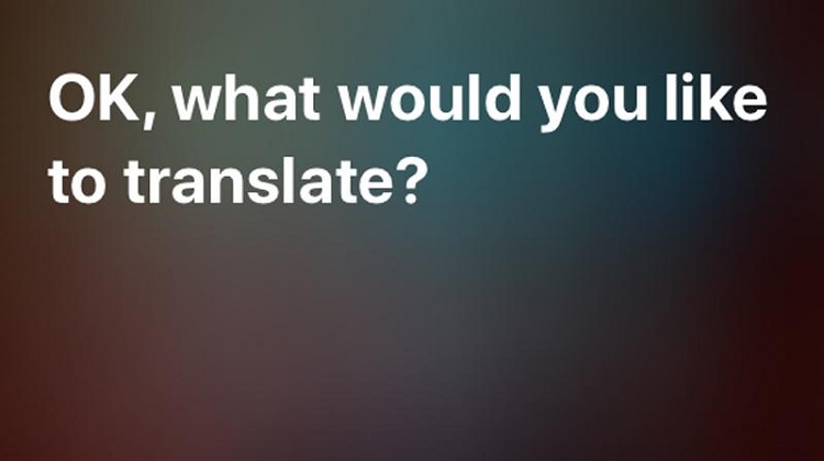siri-translate