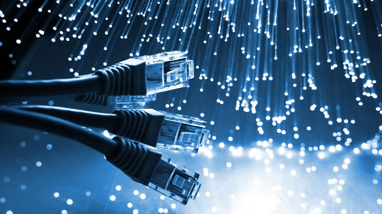 fibre