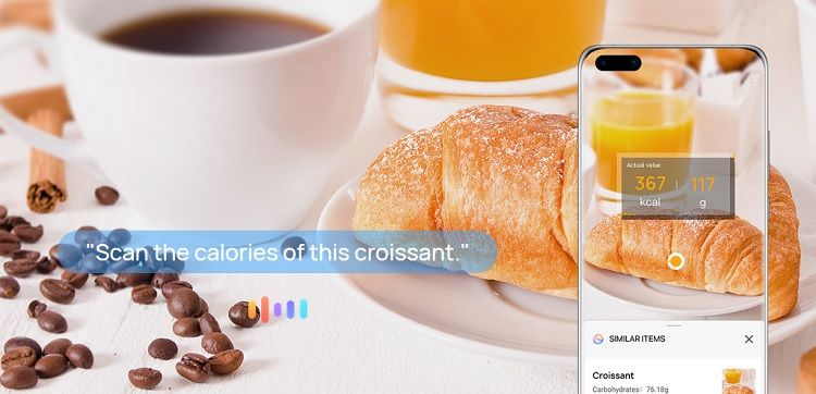 calorie
