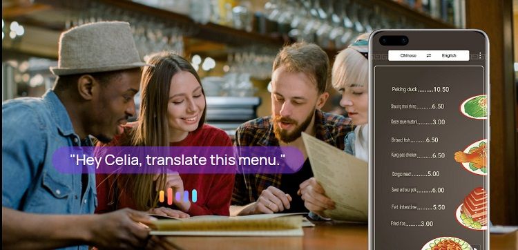 translate