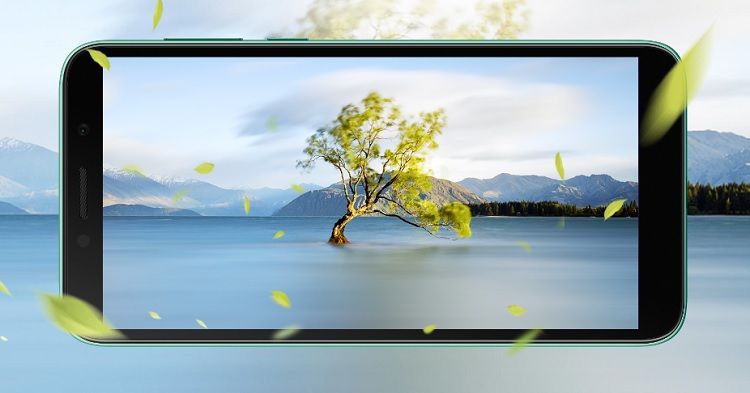 Y5p-display